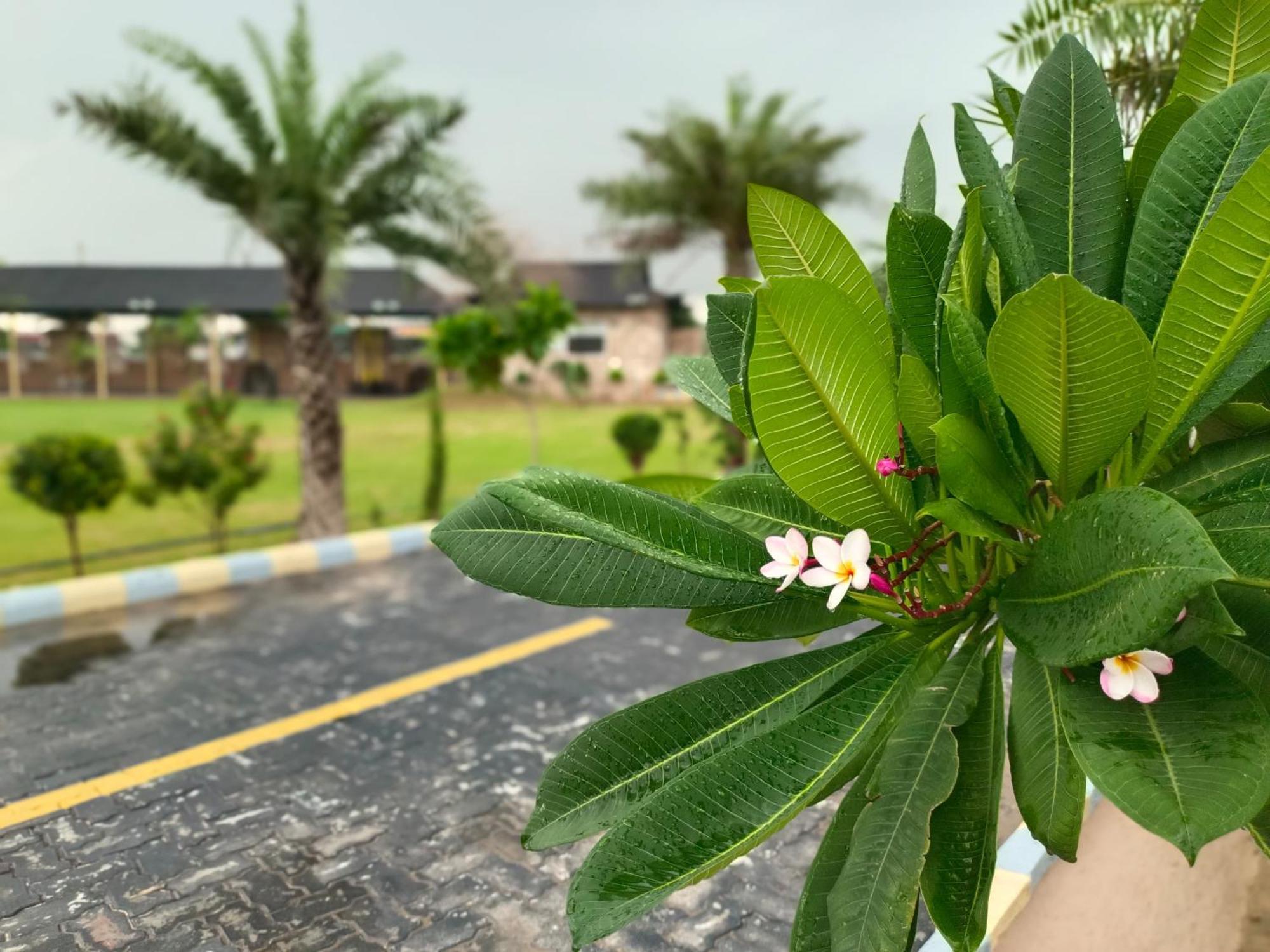 Royal Rajasthan Resort Sikar المظهر الخارجي الصورة